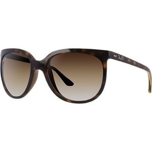 Ray-Ban Cats 1000 glasses